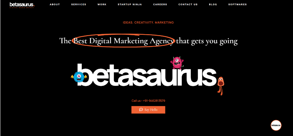 Betasaurus Overview - Best Digital Marketing Agency In Jaipur