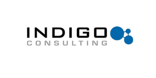 Indigo Overview - Best Digital Marketing Agency